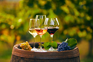 Three glasses of wine on a barrel with grapes at a winery